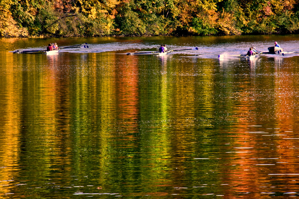 Fall Rowing by vera365