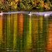 Fall Rowing by vera365