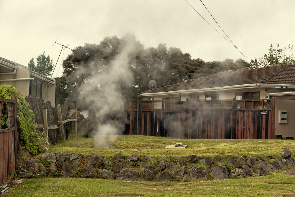 Backyard Rotorua by helenw2