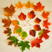 Colors of Autumn by loweygrace