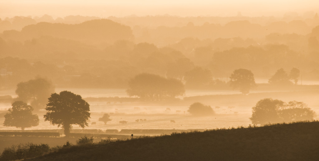 Dawn from the Hill by shepherdman