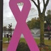 Breast Cancer Awareness Month by dridsdale