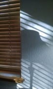 21st Oct 2016 - Blinds and Shadow