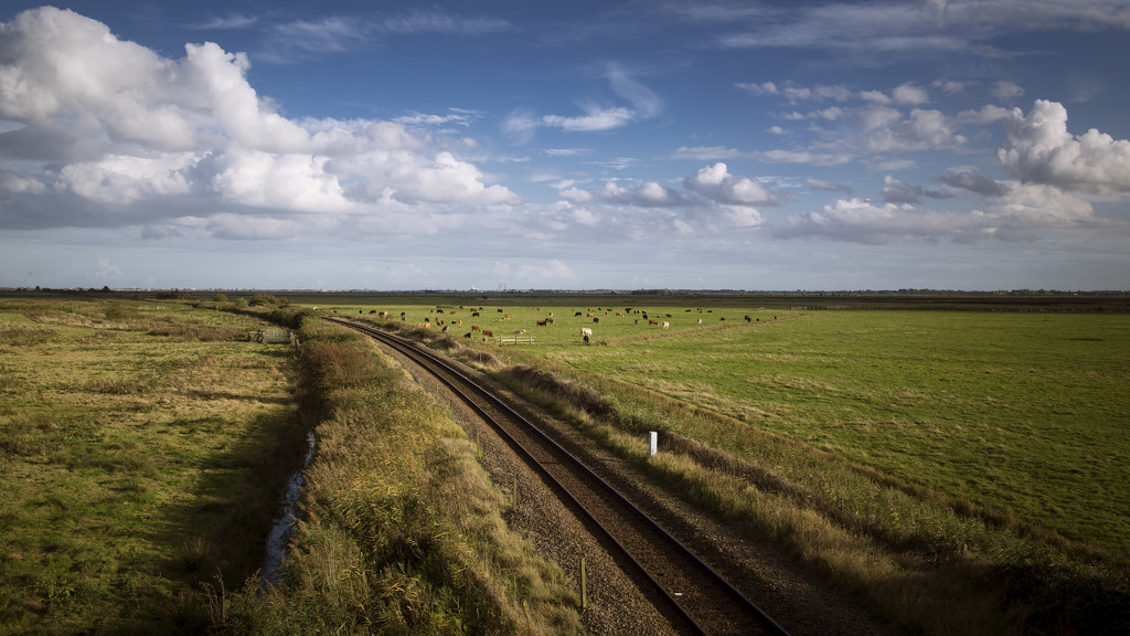 Day 291, Year 4 - Railway View by stevecameras