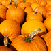 Pumpkins squared by eudora