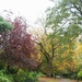 Autumn In The Arboretum by oldjosh