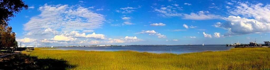 Waterfront Park and Charleston Harbor, Charleston, SC by congaree