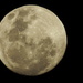 Full Moon SOOC by nickspicsnz