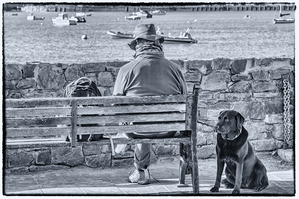 2016 10 22 The Invisible man and his dog by pamknowler