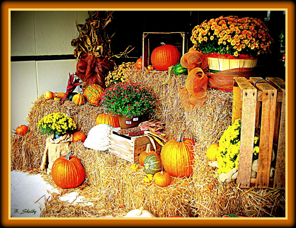 October Display by vernabeth