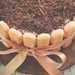 Tiramisu Cake  by nicolecampbell