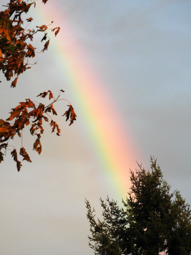 Rainbow by seattlite
