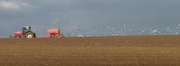 12th Oct 2016 - Seagulls following the plough