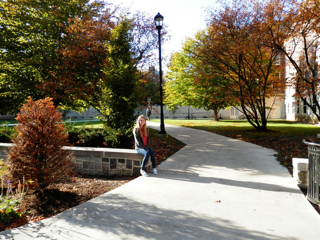 Walk on the Campus by julie