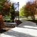 Walk on the Campus by julie