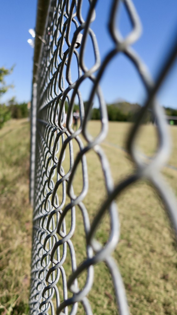 chain link by scottmurr