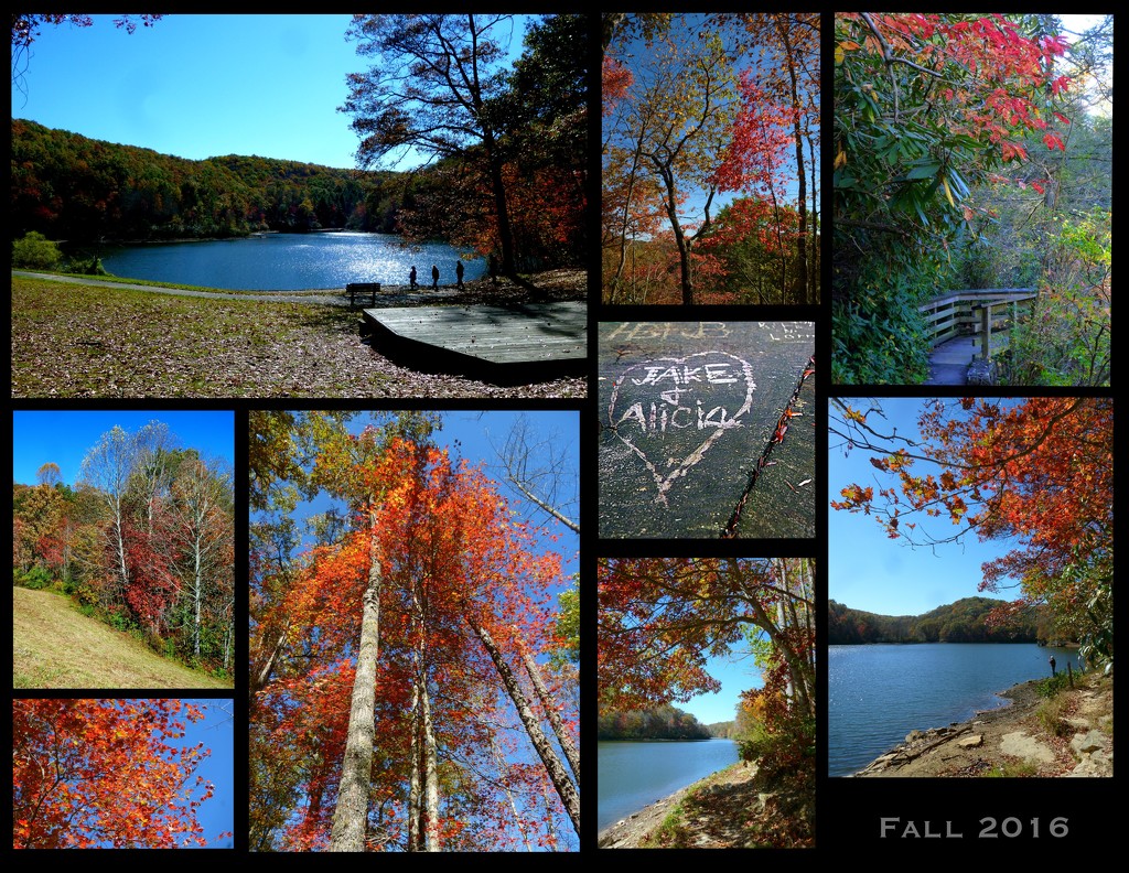 Fall Pics around Bark Camp Lake by calm