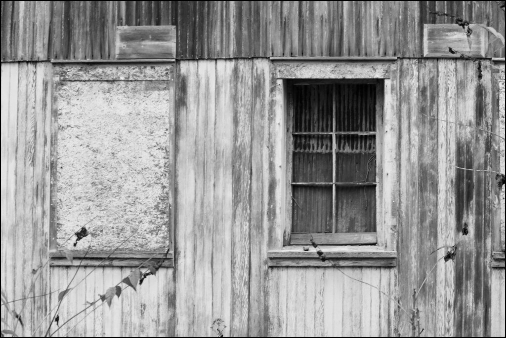 Windows on the Side of the Barn by olivetreeann