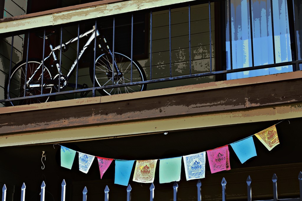 Banner and Bike by judyc57