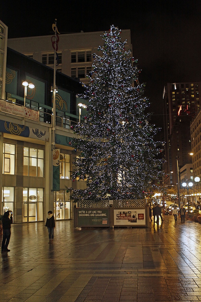 Westlake Plaza Christmas Tree by seattle
