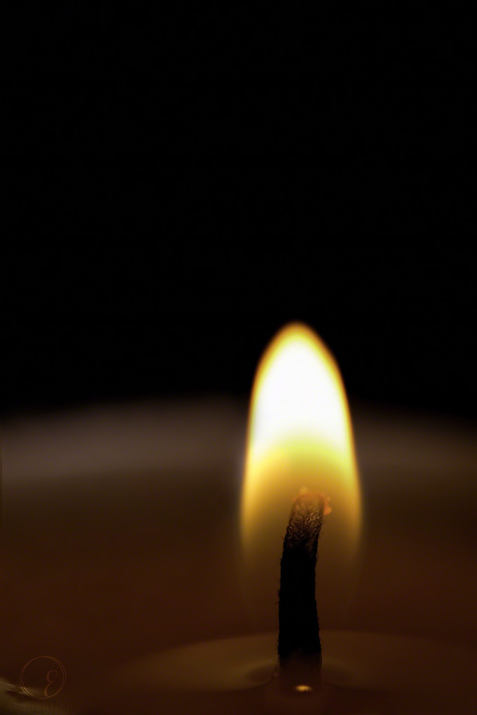 A single flame by evalieutionspics