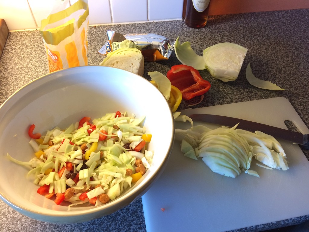 Coleslaw Coming Up! by elainepenney