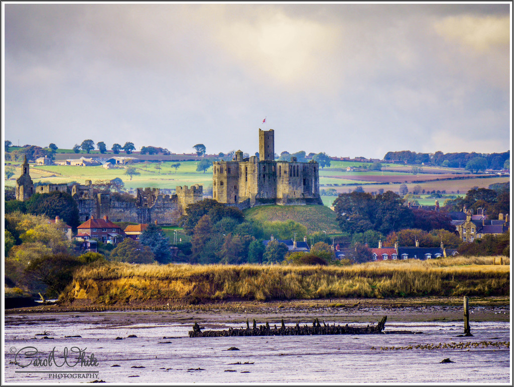 Warkworth Castle From Amble Harbour by carolmw