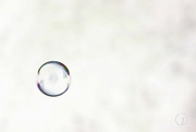 26th Oct 2016 - Bubble on white-ish