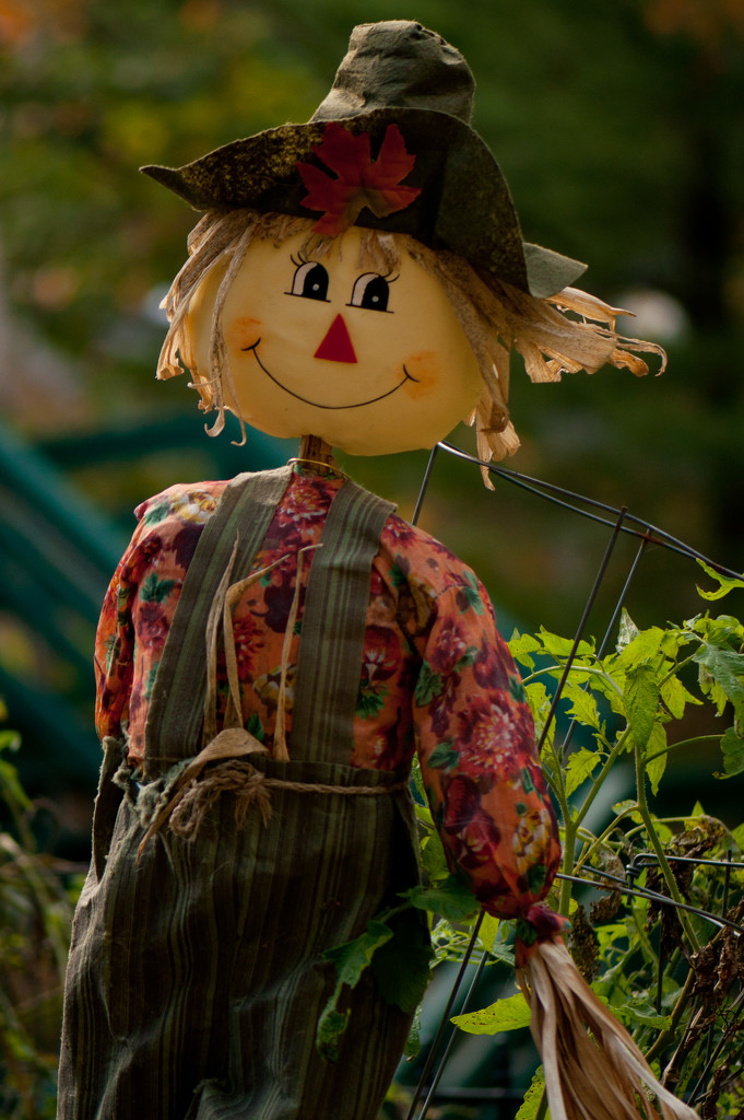 Scarecrow by dianen