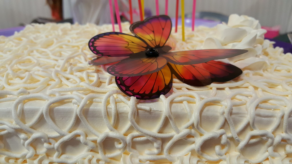 Butterfly cake by mariaostrowski