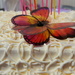 Butterfly cake by mariaostrowski