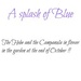 A splash of blue  by beryl
