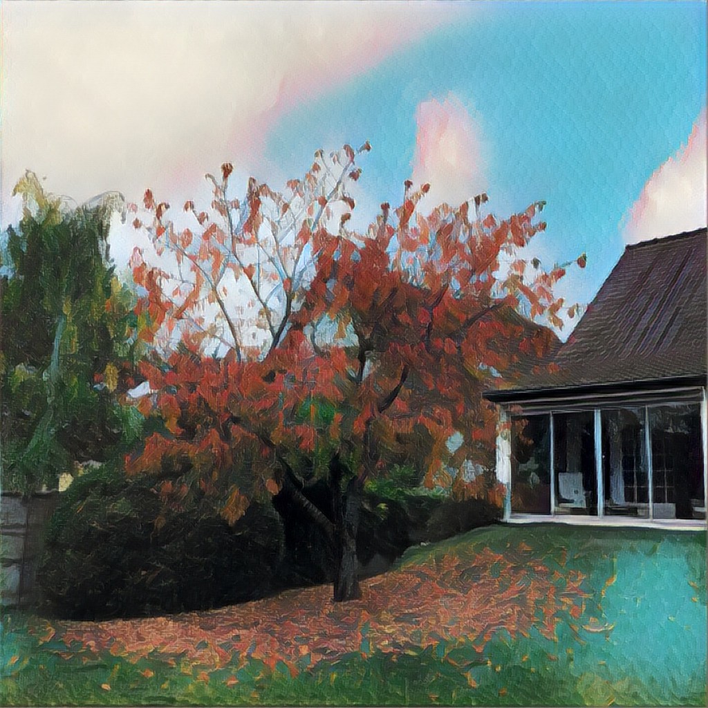 Autumnal Cherry Tree by jamibann