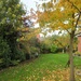 Back Garden in Autumn by g3xbm