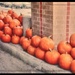 Pumpkin sale at the local supermarket by bruni