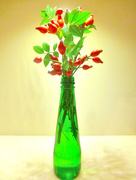 27th Oct 2016 - Rose-hips in a green bottle .... 