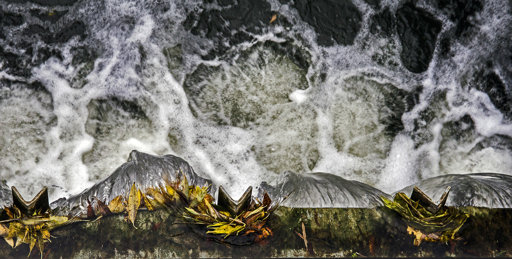 Leaves trapped in the Weir by megpicatilly