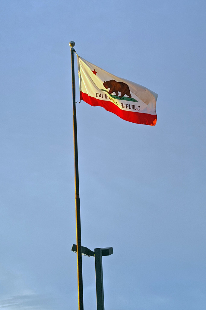 CA Flag by mariaostrowski