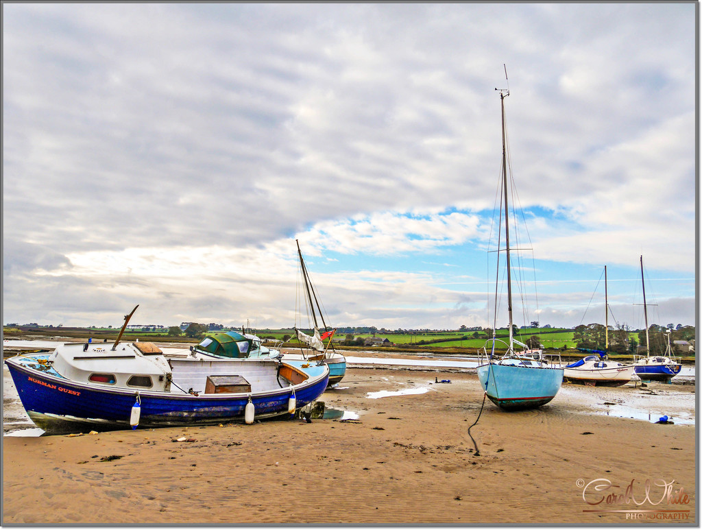 High And Dry (Alnmouth Harbour) by carolmw