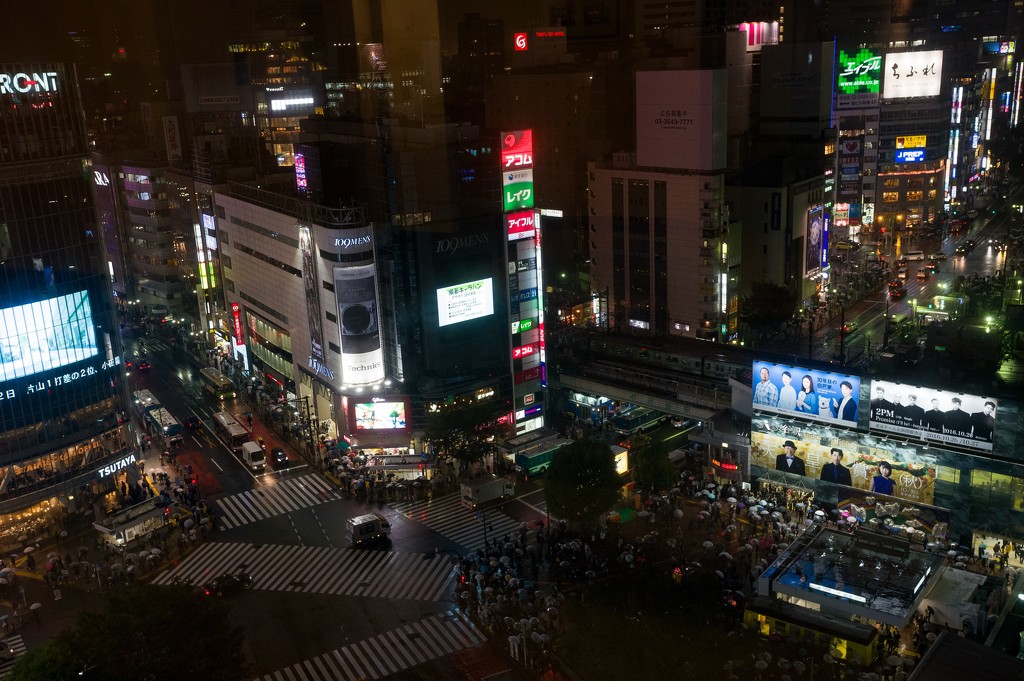 Rainy night in Tokyo, Shibuya district by cristinaledesma33