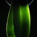 "Leaf-lit" by granagringa