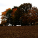 autumn landscape  by ianmetcalfe