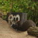 Curious Otter by bizziebeeme