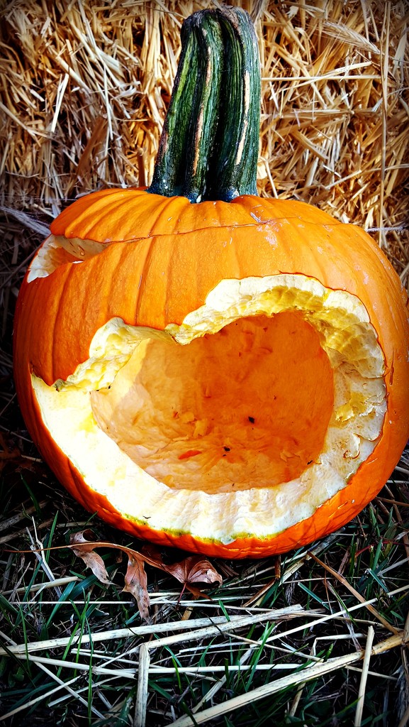 The Faceless Pumpkin by jo38