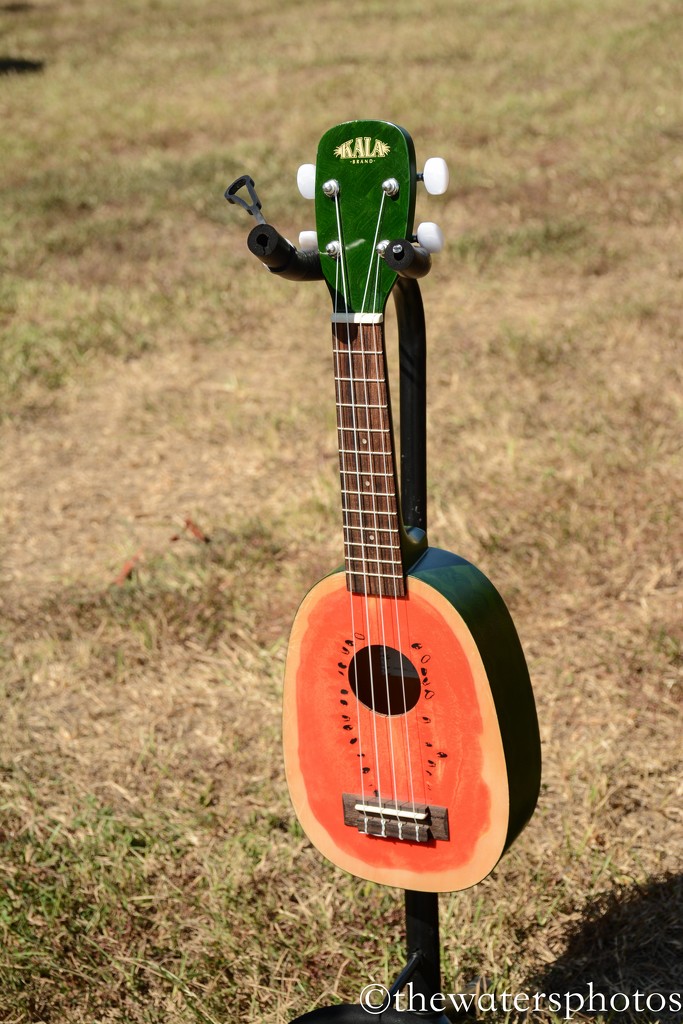 Watermelon Ukelele by thewatersphotos