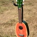 Watermelon Ukelele by thewatersphotos