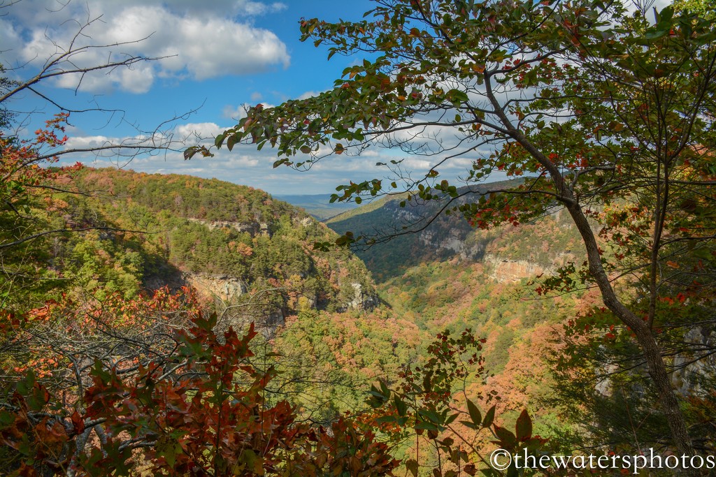 Cloudland Canyon by thewatersphotos