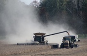 19th Oct 2016 - harvesting soybeans is a dusty job