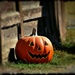 Barn Pumpkin by peggysirk