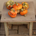 Decorative pumpkins by cherrymartina